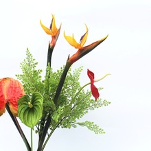 ߶˴BٻҾbˇ[ӰgQmzӰ