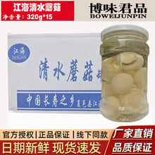 滑子菇菌清水食用菌菇罐瓶雪山菇草菇汤锅火锅商用320*15多地邮