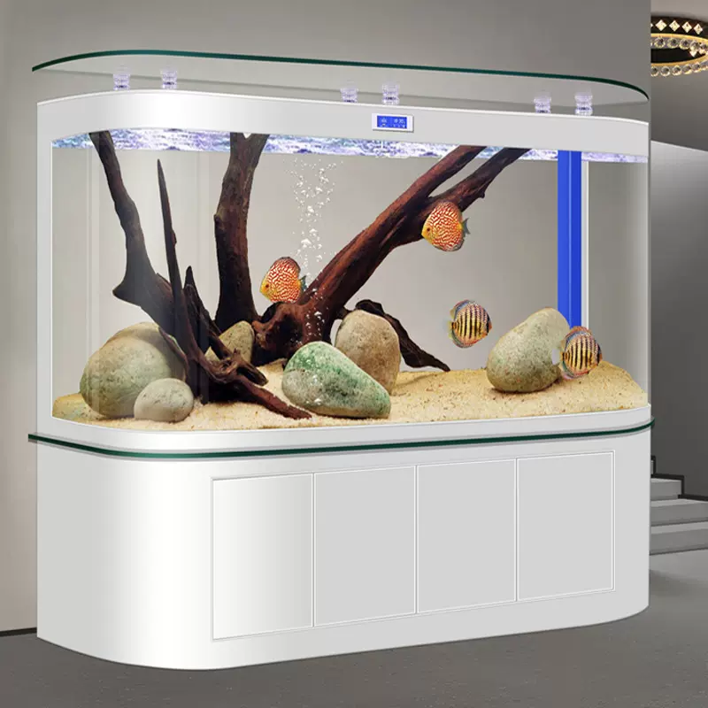 2026新款超大型底滤鱼缸客厅家用生态免换水龙鱼缸过滤制氧一体机