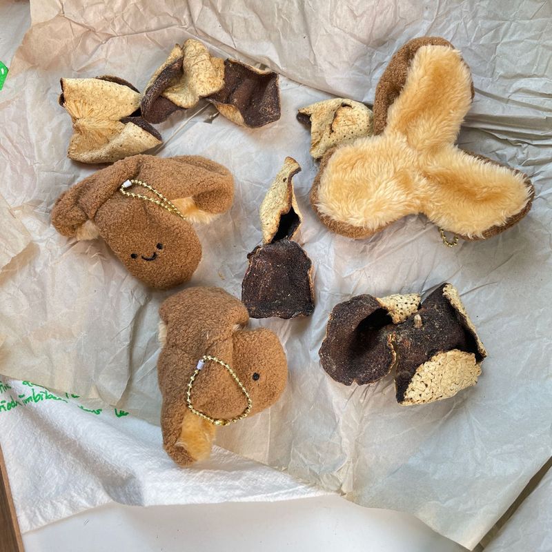 可爱网红卡通中药陈皮玩偶毛绒挂件学生儿童娃娃公仔玩具批发礼物|undefined