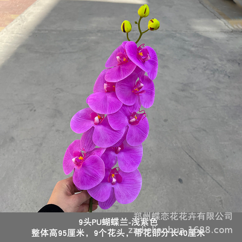 PU9 luz de la cabeza púrpura