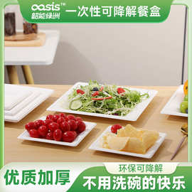 韶能绿洲工厂定制甘蔗浆竹浆一次性可降解产品方托盘系列
