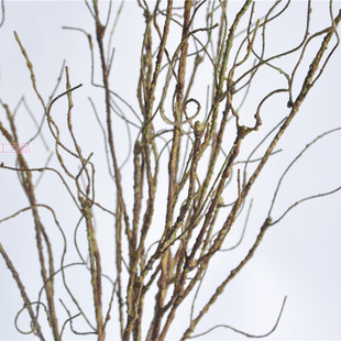 ������ټ��ٗl�bU�����������ٷ���ֲ����ٸ��ٿݻ���3�^��