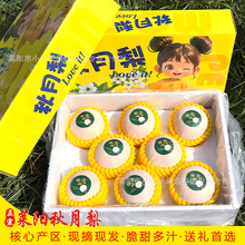 �R����������rˮ�������֭������ժ�����ͶY����ɽ�|ɽ�|�خa