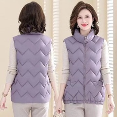 ダウン綿のベスト女性秋冬ファッションのお母さんのベストのコートがゆったりしています。