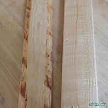 ���L�����o����10��lԭľ�ӱ�ľ��ɼľ1ľ����ľ؛�ܟo