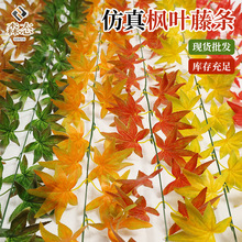 ������~�ٗl�젝�b����ϼٻ��t���~���{�ܵ��ړ�����p�@����