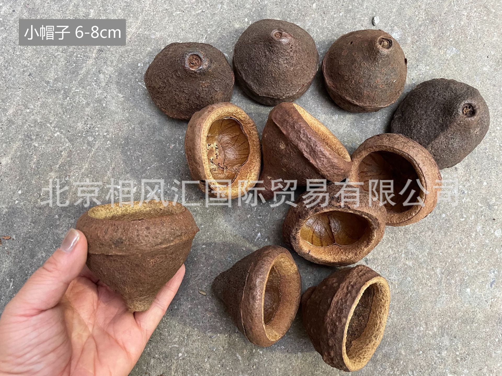小帽子6-8cm-5.jpg