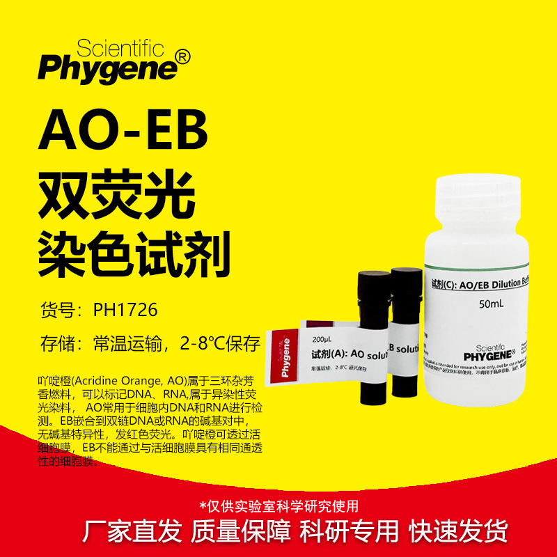 AO/EB双荧光染色试剂盒 AO-EB双染色试剂盒 [PH1726 PHYGENE]