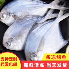 �l���K�~���r������r����ƽ�~���ˮ�a�S�����l����K�~؛Դ���l