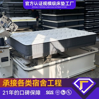 宿舍租房专用不塌陷3e环保椰棕床垫 护腰护脊偏硬弹簧床垫20cm厚