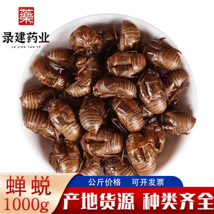 ���l���۳�����ș���s͑ ���暤 ���s�� 1000g �a��ɽ�| �s͑