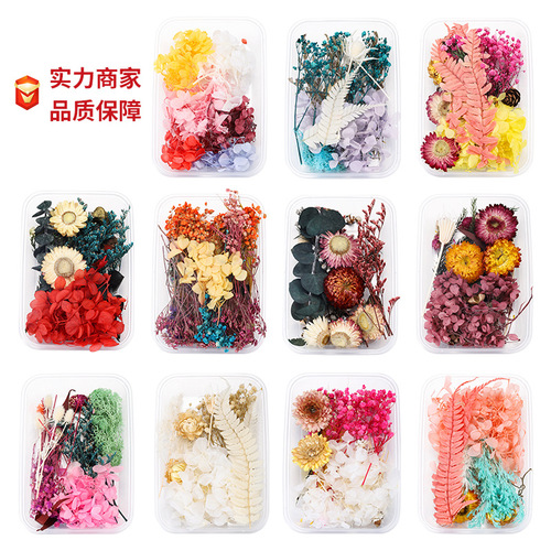 Floating flowers, dried flowers, preserved flowers, DIY glue filled flower materials, mini embossed materials, Yunnan dried flowers wholesale