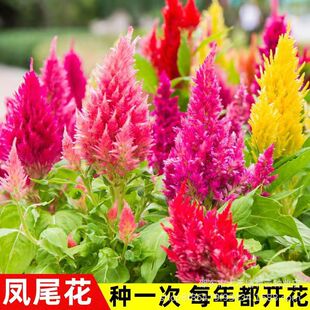 �Pβ�u�ڻ��N���ļ��^�p�u�ٻ��N���׻������̨����ͥԺ���ܷN��