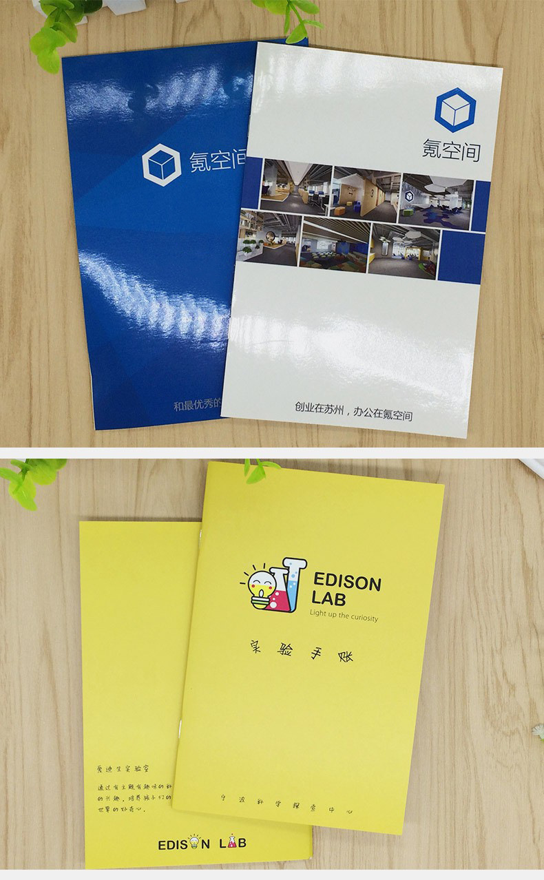 4466533042_114298869