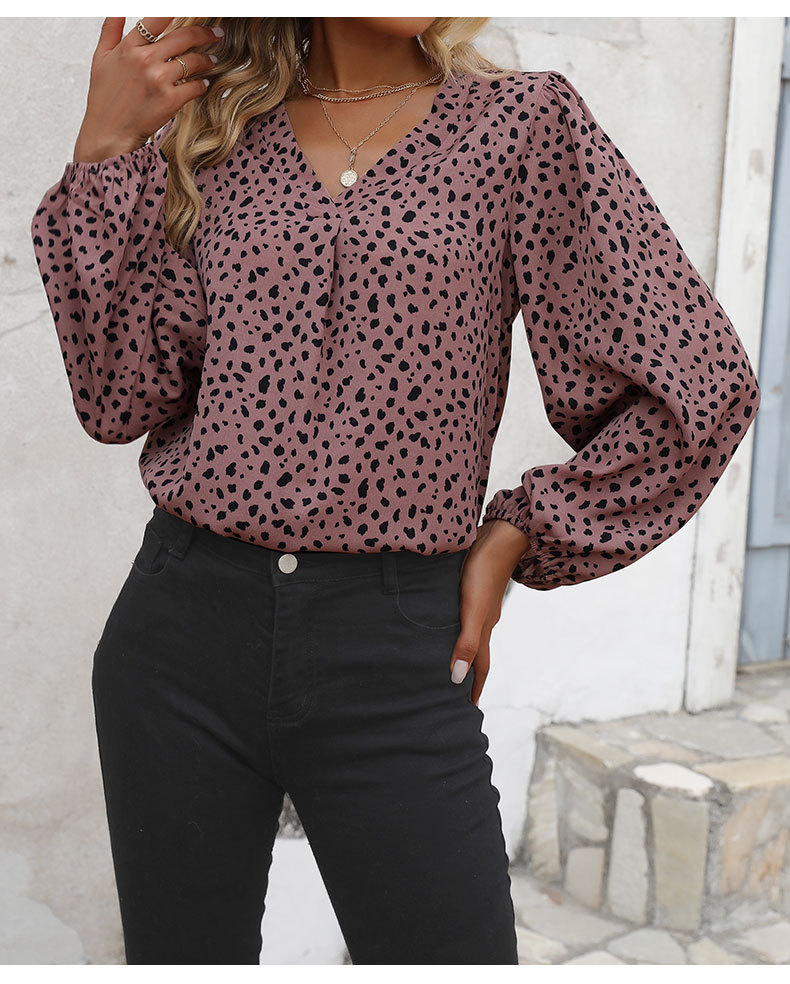 Casual Leopard Polyester V Neck Long Sleeve Regular Sleeve Printing Blouse