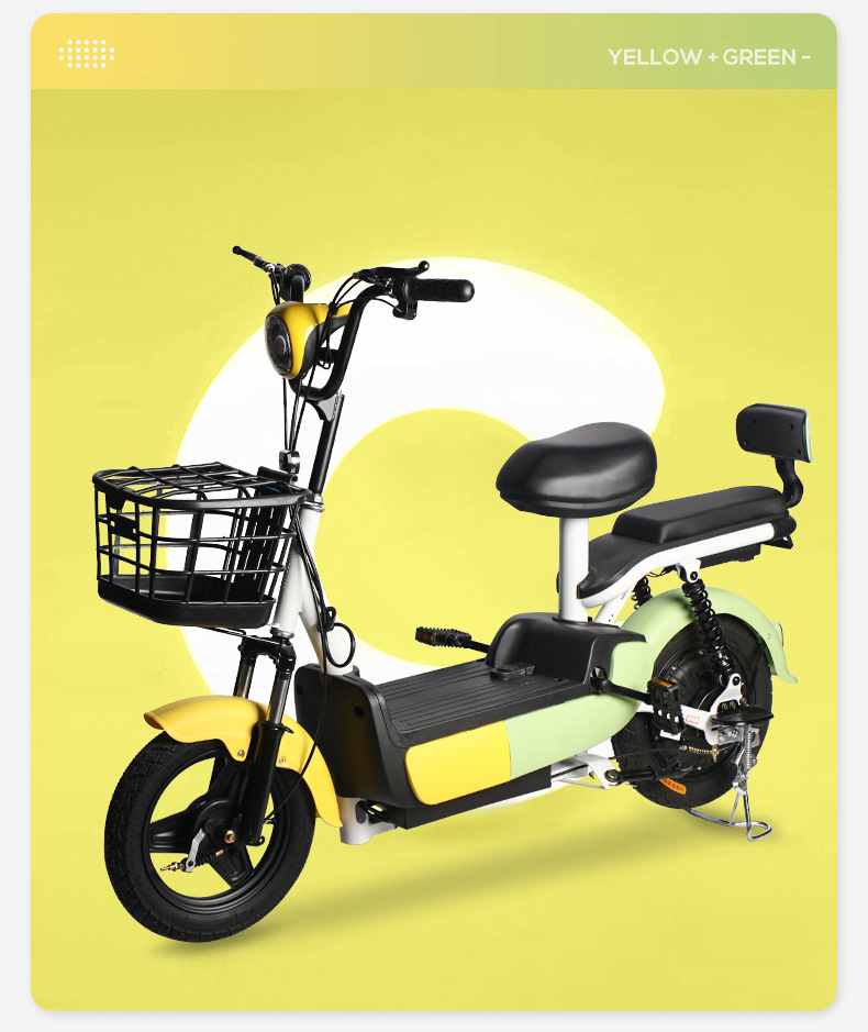Custom Electric Bicycle, New National Standard, 48V 60V