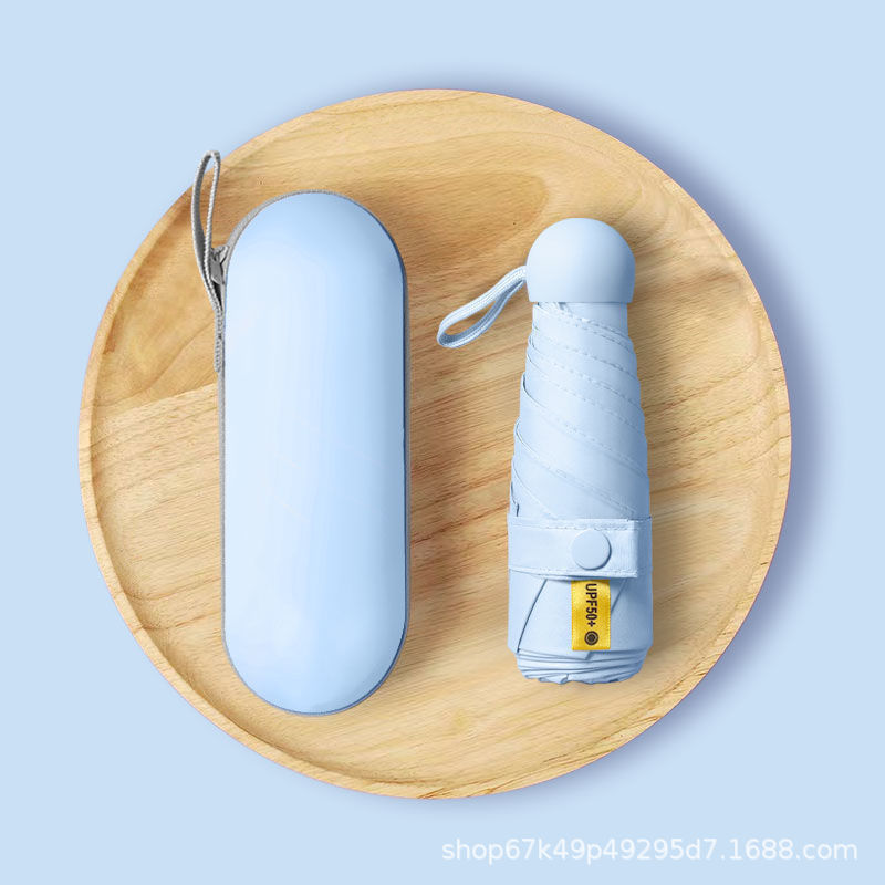 [스카이 블루] 5 중 6 본 전체 음영 + 상자