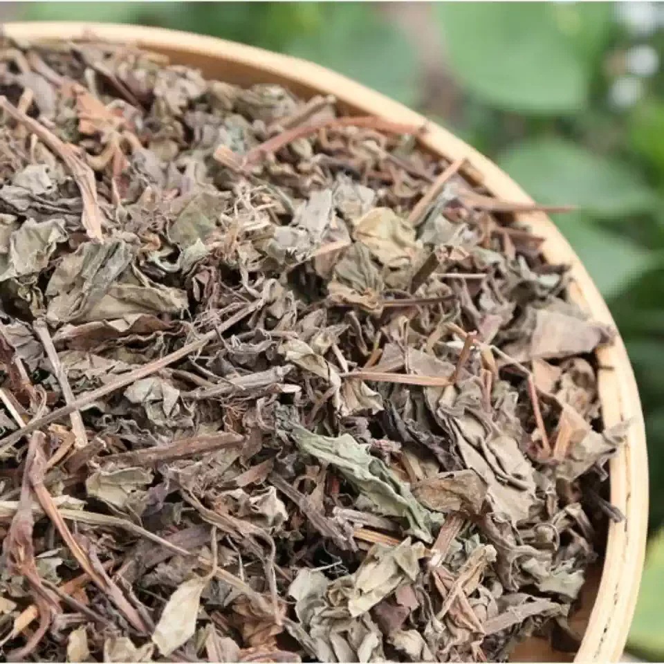 Dried Houttuynia Herb Yu Xing Cao Fish Mint Whole Herb for Tea and Infusions 500g Sichuan Grown key features
