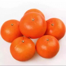 廣西武鳴沃柑超甜10斤水果品批發新鮮當季整箱大果非茂谷柑丑柑橘