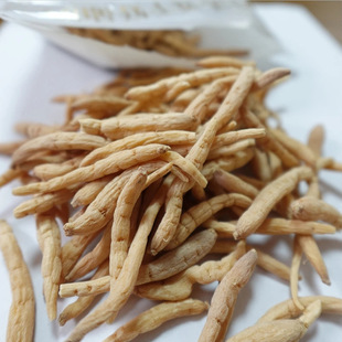 �o��̫�Ӆ���������ͯ�Ҝ���؛��؛������؛�����񜫳��L���B