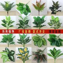 ���W�Lֲ�ﻨ�Gֲ�[�������~�҃������ٻ������쾰����