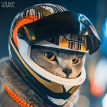 宠物头盔猫猫小型犬迷你版小头盔公仔玩偶机车熊头盔搞笑小白布熊