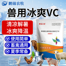 鹏锦兽用冰爽vc解暑抗应激畜禽清凉一夏速溶可饮水猪牛羊鸡鸭鹅通