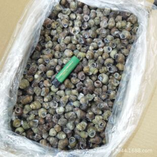 ������·9�� ��ȥ���ݼ�βȥβ�������� ҹ��ȥɳȥ�K���ʯ��