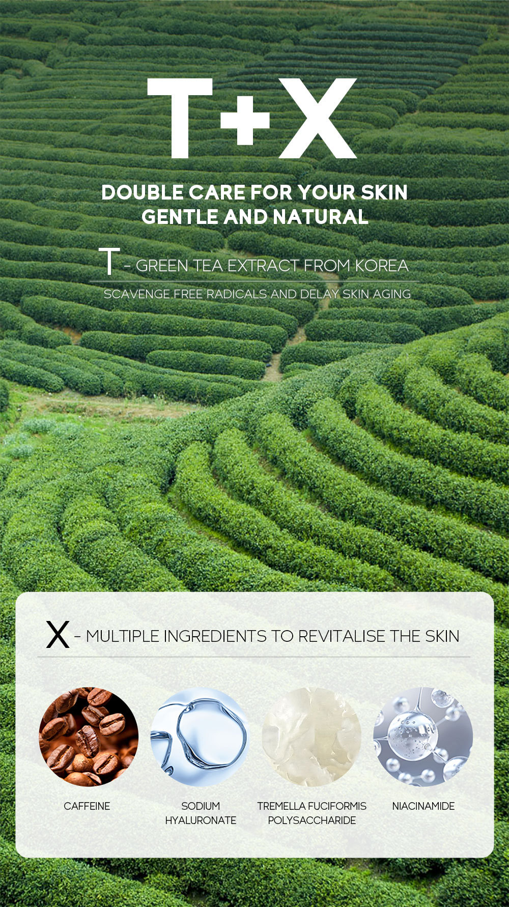 FENYI Green Tea Eye Serum 15ml Hydrates, Moisturizes, cares for and nourishes the skin around the eyes. Cross-border manufacturer undefined