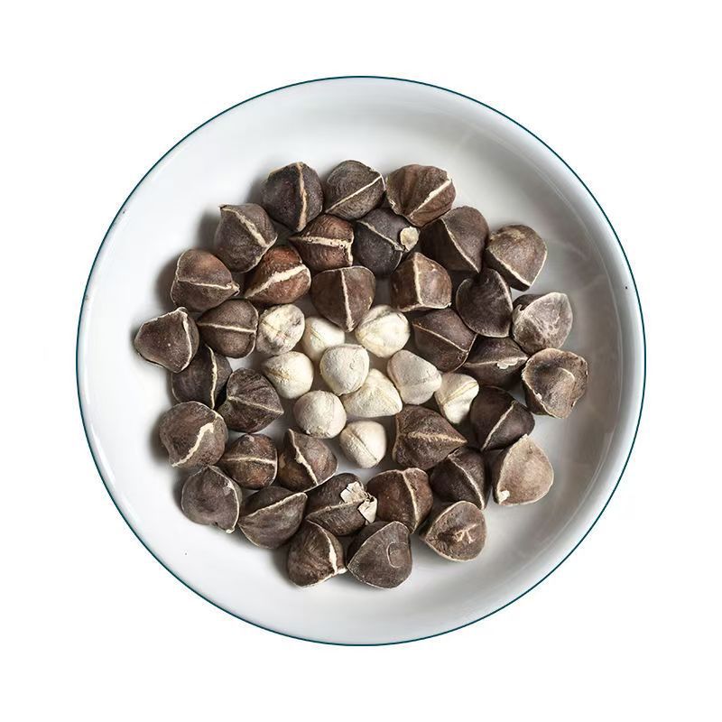 Moringa Seeds (Moringa oleifera) — La Mu Zi, Large-Grade Dried Food Herb, 500g in use