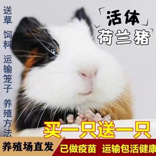 ���m����������������̺��i���m�i���m�������ò�����ﷱֳ����