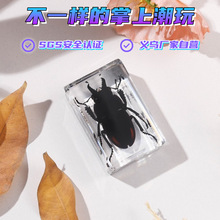 �񷽹�ˇƷ�S�S���ԠI���x�˱���ƴ�����С���߽�������ä��ϵ��