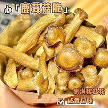 ��0���ӄ���¹�׹��������eС����ߴ���؛�خa���r�ٷ���Ş��