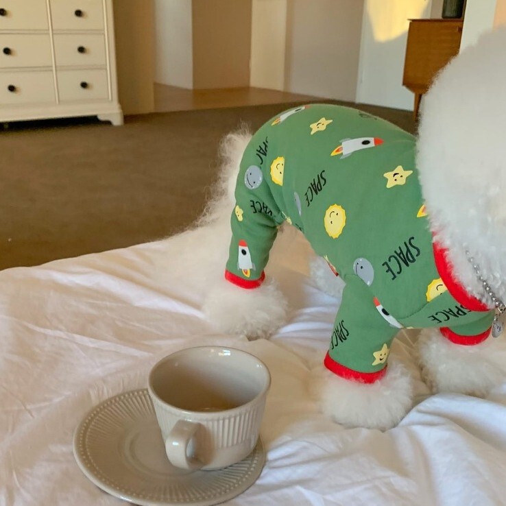 秋冬季狗狗衣服中小型犬四脚包肚衣防着凉保暖空调服宠物家居服|undefined