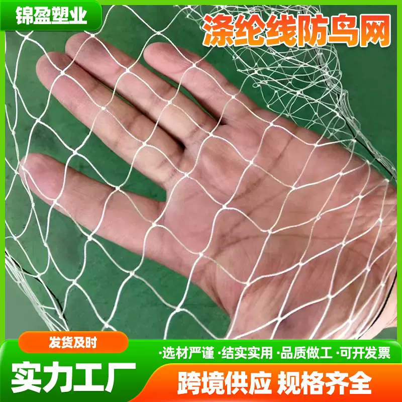 涤纶线防鸟网果园防鸟网樱桃葡萄农用家用天网果树防鸟网围栏户外