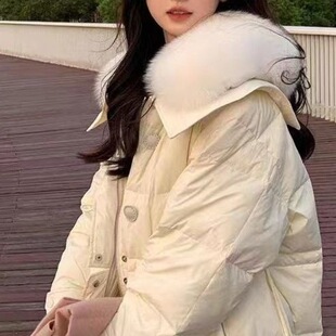 2025�¿�ë�I���L��Ӻ񶬼��@�ݰ����q�����K�Kͬ���е������I��