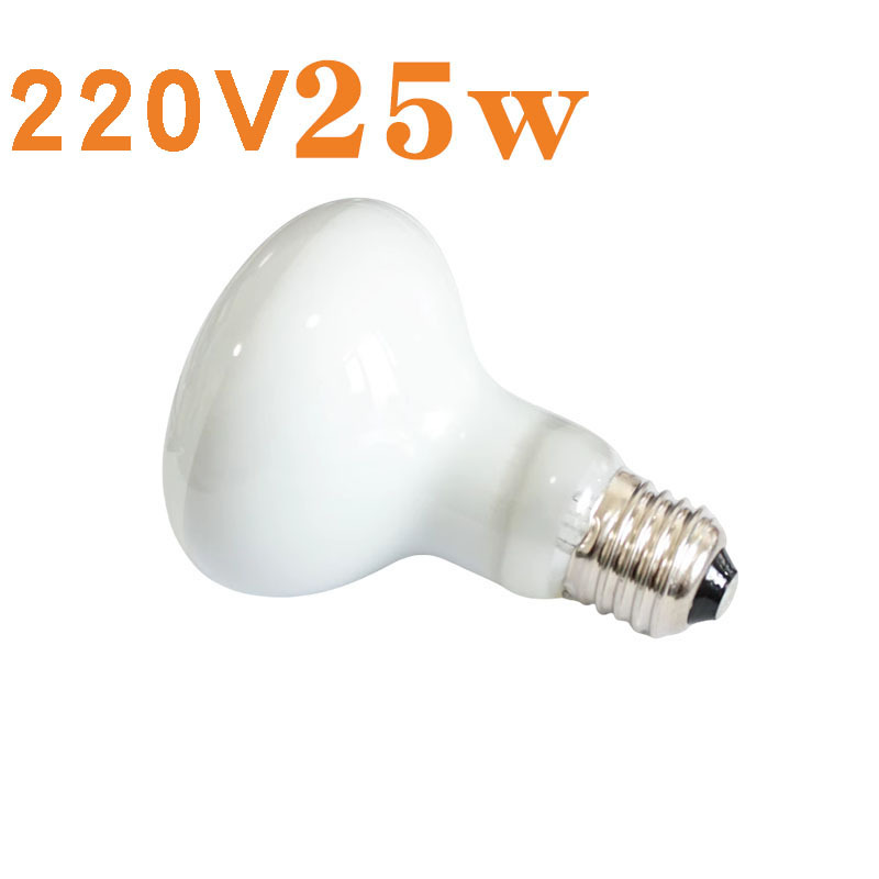 R80 열대우림 일광 램프 220V 25w