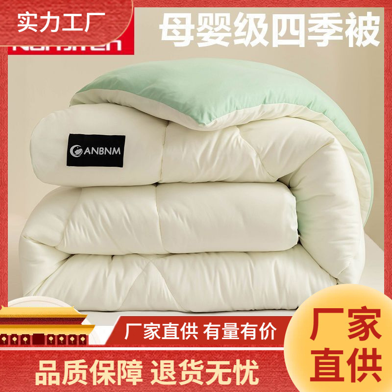 Antarctic Soybean Fiber Quilt Winter Quilt Thickened Warmth 2024 New Spring and Autumn Quilt Single Air Conditioning Quilt