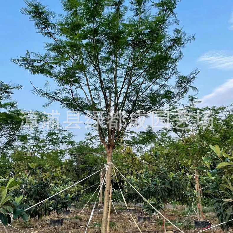 发布供应商品 - 1688.com 全球领先的采购批发平台