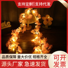 跨境热销led樱花铜丝灯仿真花环灯串电池盒卧室表白求婚装饰彩灯