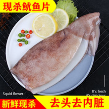 【去头去内脏】新鲜鱿鱼片大鱿鱼八爪鱼章鱼烧烤火锅食材批发整箱