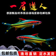 һü����Ұ��һü���˼tü�����~�ݸ��~�Ꭷ�~�^�p�~���w�~���]