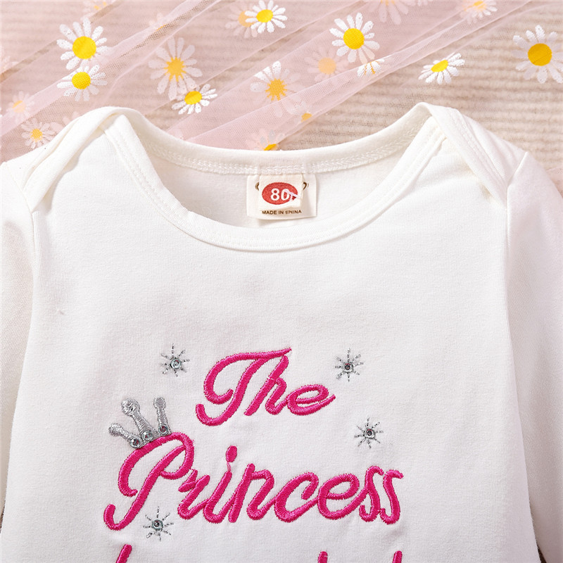 Cross-border Children's Wear Spring and Autumn New Baby Girl Sweet Long Sleeve Suit Embroidered Letters Rose Red Mesh Short Skirt
