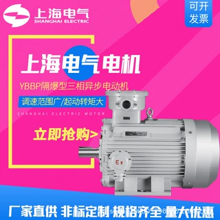 上海电气集团上海电机厂电机YBBP-132S1-2 5.5kw隔爆型三相异步