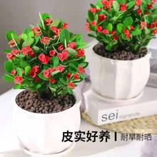 ÷FĻBļ_Сֲ҃Ȼkҿ͏dܾGֲ