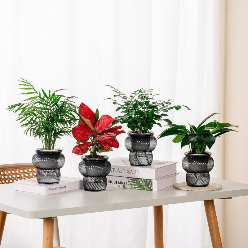 美軒怠け者の植木鉢は自動的に吸水します。|undefined