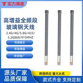跨境热销2400-2500mhz玻璃钢天线全向室外2.4g网关天线高增益天线