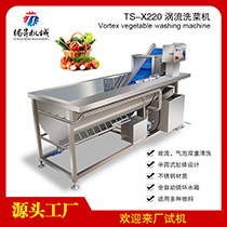 TS-X220涡流洗菜机-主图(01).jpg