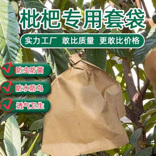 Special Loquat Bagging Loquat Bag Waterproof Insect-Proof Sun Protection Fruit Bagging Single-Layer Double-Layer Pocket